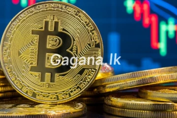 ලොව විශාලතම මුදල් ඒකකයට එකවරම සිදුවූ දේ මෙන්න..