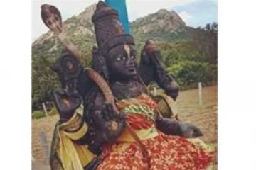 திடீரென அம்மன் சிலை மீது படமெடுத்து ஆடிய நல்லபாம்பு- குவிந்த மக்கள் கூட்டம்!