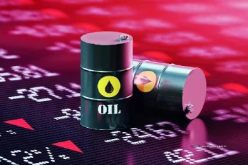 ரஷ்ய எண்ணெய் இறக்குமதியை நிறுத்திய இந்தியாவின் மிகப்பெரிய நிறுவனம்