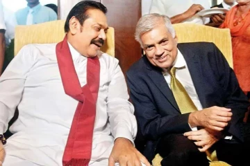 ரணிலுக்கு பச்சை கொடி காட்டியது அரசாங்கம்