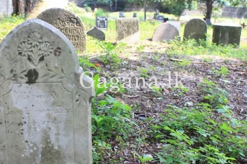 මැරිලත් හමාරයි. - තවත් ගාස්තුවක් දරාගත නොහැකි තරමට ඉහලට.