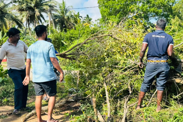 புதுக்குடியிருப்பில் தபாலகத்திற்கு நிரந்தர கட்டடம் தர கோரிக்கை.. விடுக்கப்பட்டுள்ள எச்சரிக்கை | Request To Set Up Post Office In Pudukkudiyuruppu