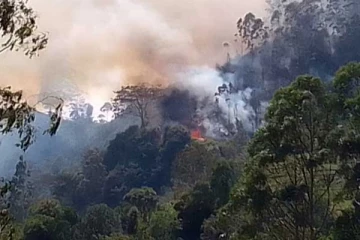 රටටම අපල කාලයක් - සිදුවන දැවැන්ත විනාශය..