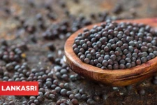 இந்த விஷயம் தெரிந்தால் கடுகை இனி தவிர்க்கமாட்டீர்கள்! பல மருத்துவப்பயன்கள் ஒளிந்துள்ளது