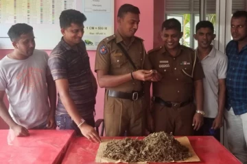 யாழில் இரண்டு கிலோகிராம் கஞ்சாவுடன் மூவர் பொலிஸாரால் கைது