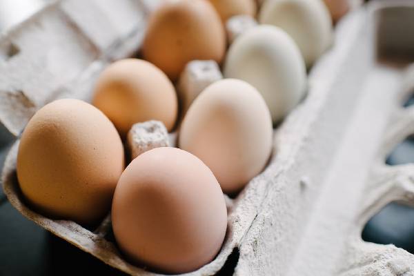 முட்டையால் பேக்கரி தொழிலுக்கு நெருக்கடி | Suspension Of Imported Eggs