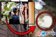 பாழைடைந்த வீட்டிற்குள் சிக்கிய பத்து ஆண்டுகள் பழமையான எலும்புகூடுகள்