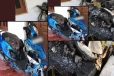 மட்டக்களப்பில் வீடொன்றில் தீ; மோட்டார் சைக்கிள் உட்பட பல பொருட்கள் தீக்கிரை