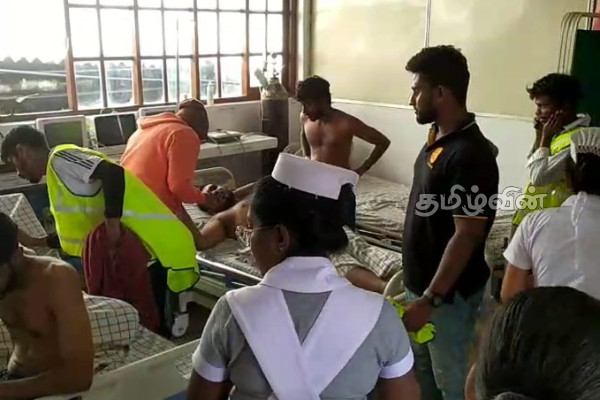 குளவி கொட்டுக்கு இலக்கான பல்கலைக்கழக மாணவர்கள்! வைத்தியசாலையில் அனுமதி | Wasp Attack On Ruhunu University Students