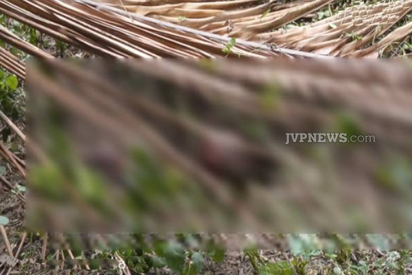 யாழில் பகீர் சம்பவம்: சிசுவின் சிதைவடைந்த உடற்பாகம் மீட்பு! | Baby Recovered With Mutilated Body Part In Jaffna