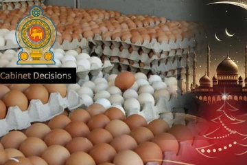 பண்டிகை காலத்தை முன்னிட்டு முட்டைகளை இறக்குமதி செய்ய அமைச்சரவை அங்கீகாரம்