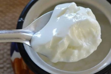 எந்த பொருட்களை தயிருடன் சேர்த்து சாப்பிடவே கூடாது தெரியுமா?