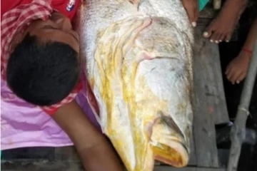 வலையில் சிக்கிய  மீனால் ஒரே நாளில் கோடீஸ்வரர் ஆன மீனவர்!