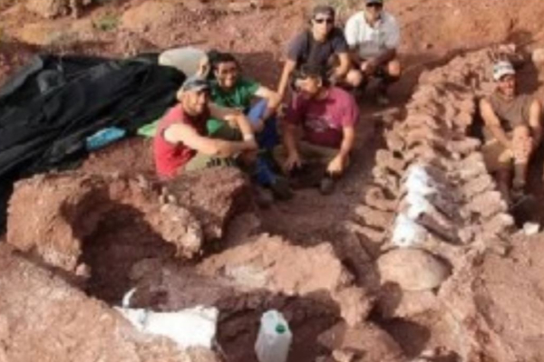 140 மில்லியன் வருடங்களுக்கு முன்பு வாழ்ந்த டைனோசரின் புதைப்படிவம்! மிரண்டு போன ஆராய்ச்சியாளர்கள் | Fossil Dinosaur Lived Million Surprised Researcher