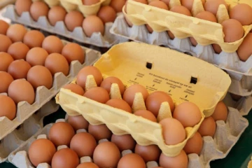 முட்டையில் உள்ள விரிசல்களை மறைக்க பசை பயன்படுத்தப்படுகிறதா?