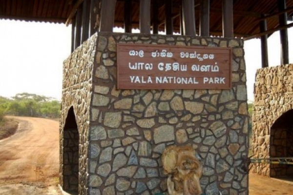வனவிலங்கு திணைக்களம் மற்றும் தேசிய வனவிலங்கு பூங்காக்களுக்கான நுழைவு கட்டணம் அதிகரிப்பு | Increase In Entrance Fees For Parks