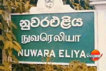 නත්තල් සමරන්න නුවරඑළියේ යනවා නම් ඔන්න වාසි රැසක්