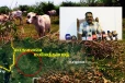 மயிலத்தமடு - மாதவனையில் சட்டத்துக்கு முரணான குடியேற்றம்! நடவடிக்கை கோரும் சிறிநேசன்
