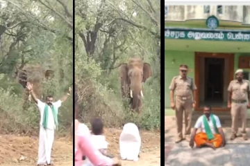 என்னை திட்டுறாங்க... - யானையிடம் கெத்து காட்டிய ஆசாமி குமுறல் - நடந்தது என்ன?