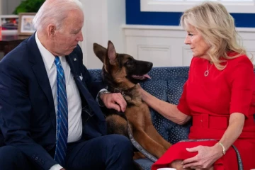 ஜோ பைடனின் வளர்ப்பு நாய் சுட்டுக்கொல்லப்பட வேண்டும்