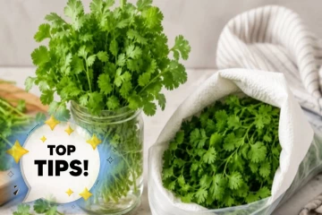 Kitchen tips : ஒரு வாரமானாலும் கொத்தமல்லி பச்சையாக இருக்கணுமா? இந்த டிப்ஸை ட்ரை பண்ணுங்க!
