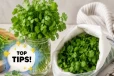 Kitchen tips : ஒரு வாரமானாலும் கொத்தமல்லி பச்சையாக இருக்கணுமா? இந்த டிப்ஸை ட்ரை பண்ணுங்க!