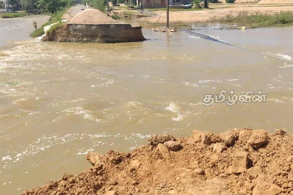 மகாவலி ஆற்றின் நீர்மட்டம் உயர்வு: மக்களுக்கு விடுக்கப்பட்ட எச்சரிக்கை | Mahaweli River Flooding