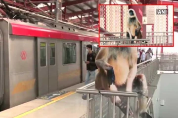 குரங்குகளை விரட்ட மெட்ரோ நிர்வாகம் செய்த அதிரடி - என்ன தெரியுமா?