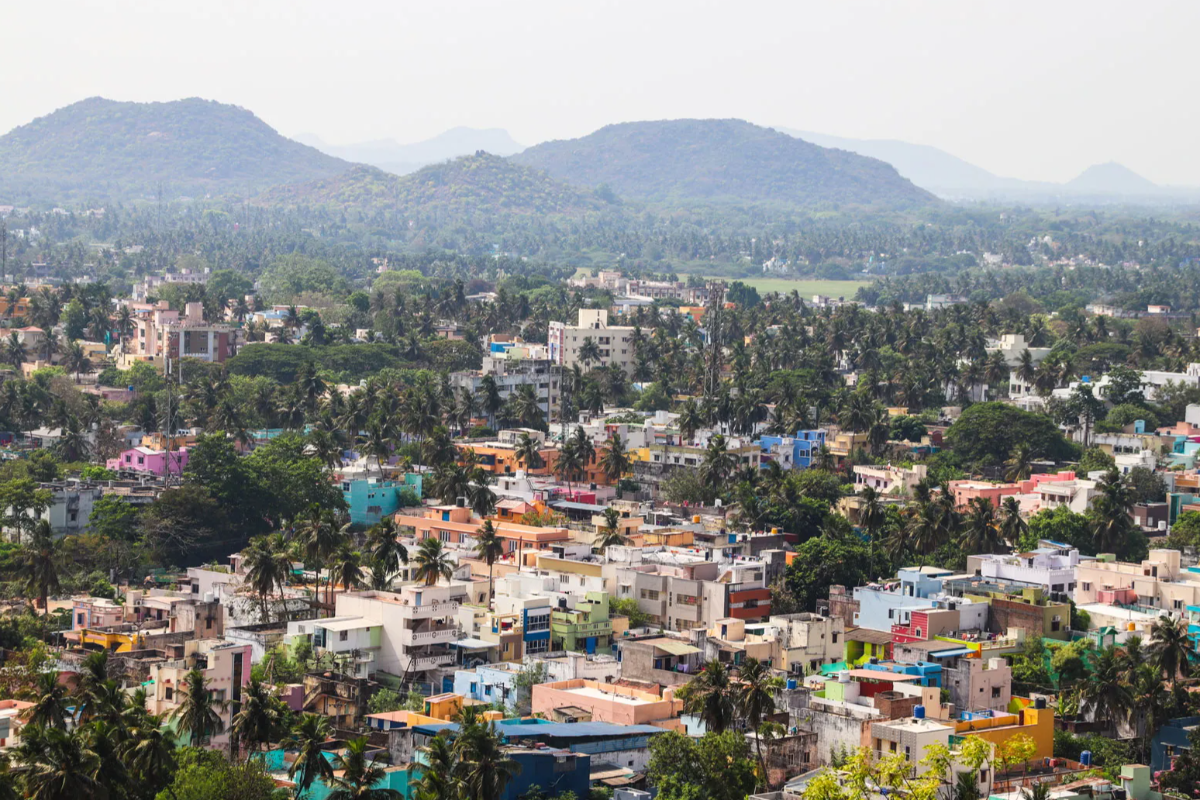 தமிழகத்தின் மாம்பழ நகரம் என்று அழைக்கப்படும் மாவட்டம்.., எது தெரியுமா? | Salem Is Called The Mango City Of Tamil Nadu
