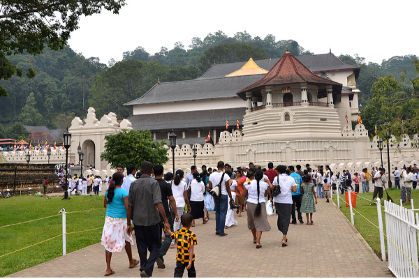 இரும்புக் கம்பியை காட்டி சுற்றுலா பயணிகளுக்கு அச்சுறுத்தல் | Threatening Tourists With Iron Bars Kandy