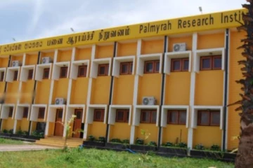 யாழிலுள்ள பனை அபிவிருத்தி சபை கொழும்புக்கு மாற்றப்படாது! - அரசு உறுதி