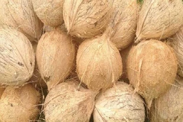 தேங்காய் விலை கடுமையாக உயர்வு -மக்கள் பெரும் சிரமம்