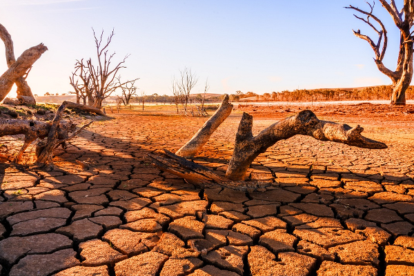 யாழில் 69,000 இற்கும் மேற்பட்டவர்களுக்கு ஏற்பட்டுள்ள பாதிப்பு | Drought Affected In Jaffna