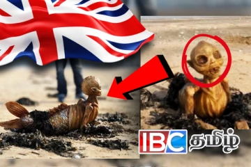 பிரித்தானியாவில் கரை ஒதுங்கிய மர்ம உயிரினம்: வைரலாகும் புகைப்படம்