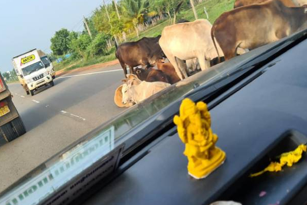 A 9 விதியில் ஏற்பட்டுள்ள அவல நிலை தொடருமா? | Jaffna Kandy Street Way A9 Street Hospital A 9 விதியில் ஏற்பட்டுள்ள அவல நிலை தொடருமா? | Jaffna Kandy Street Way A9 Street Hospital