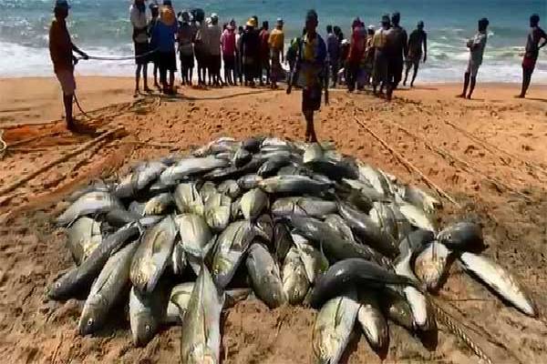 தமிழர் பகுதியொன்றில் அடித்த பெரும் அதிஸ்டம் ; கோடிகளில் கிடைத்த வருமானம் | A Major Blast Struck One Tamil Locality