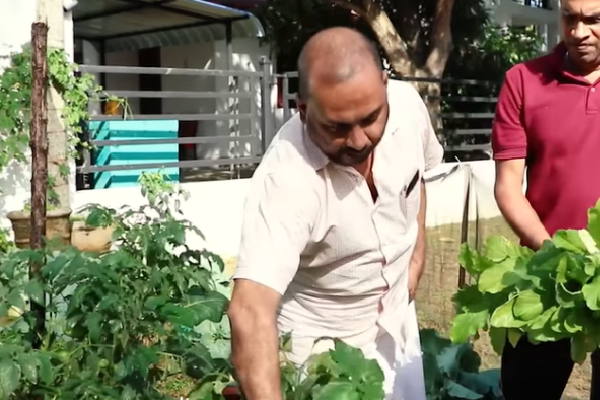 விவசாயத்தில் களமிறங்கிய மஹிந்த! | Mahinda Started In Agriculture