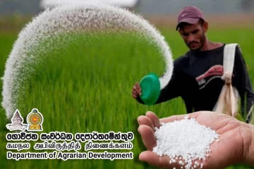 உர விநியோகம் குறித்து விவசாயத் திணைக்களத்தின் முக்கிய அறிவிப்பு