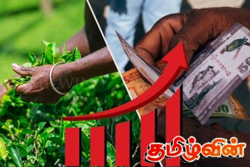பெருந்தோட்டத் தொழிலாளர்களின் சம்பள உயர்வு பற்றி ஆராய கூடுகின்றது சம்பள நிர்ணய சபை