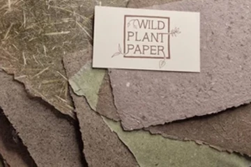 காட்டுச் செடி மூலம் காகித உற்பத்தி