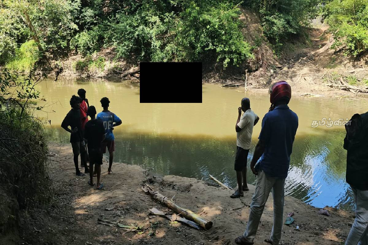 முல்லைத்தீவில் அதிகரித்துவரும் யானை மனித மோதல்! மக்கள் உயிருக்கு அச்சுறுத்தல் | Elephant Attack Mullaitivu