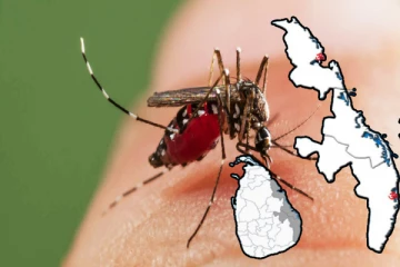 கிழக்கில் டெங்கு பரவலை கட்டுப்படுத்த விசேட வேலைத்திட்டம்