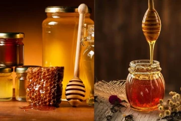 சுடு தண்ணீரில் தேனை கலப்பது ஆபத்தா? தவறான காம்பினேஷன்கள் பற்றி தெரிஞ்சிகோங்க!