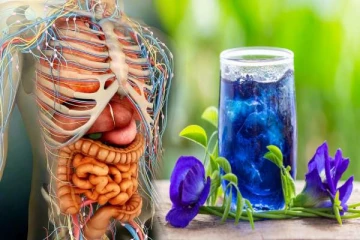 சங்கு பூவில் டீ போட்டு குடிப்பதால் இத்தனை நன்மைகளா? இனிமேல் மிஸ் பண்ணாதீங்க