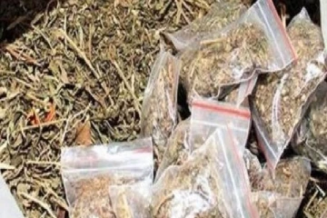 கஞ்சா தொடர்பில் அரசாங்கத்தின் முடிவு வெளியானது