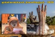 முள்ளிவாய்க்கால் பேரவலம் - 2026 : தமிழின அழிப்பின் 17ஆம் ஆண்டு கொள்கைப் பிரகடனம்