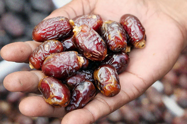 ஒரு ரூபாவாக குறைக்கப்பட்டுள்ள வரி - இன்று முதல் நடைமுறை | Imports Tax Rates Decrease Ramadan Celebration