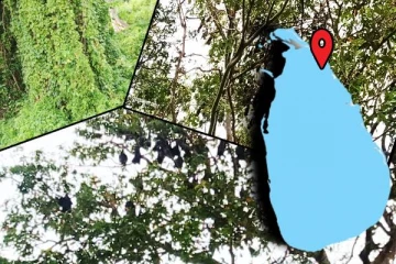 முல்லைத்தீவில் இப்படியொரு இடமா! மறக்கப்பட்ட வௌவால்வெளி