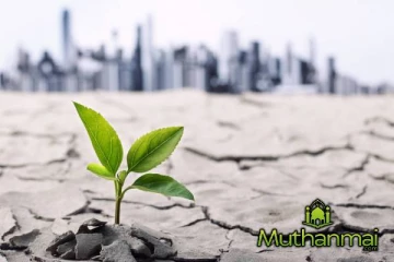 நாட்டில் தற்போது நிலவும் காற்றின் தரம் குறித்து வெளியான தகவல்