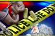 கோட்டாபயவின் உடற்பயிற்சி ஆலோசகர் கைது